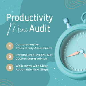 Mini Productivity Audit