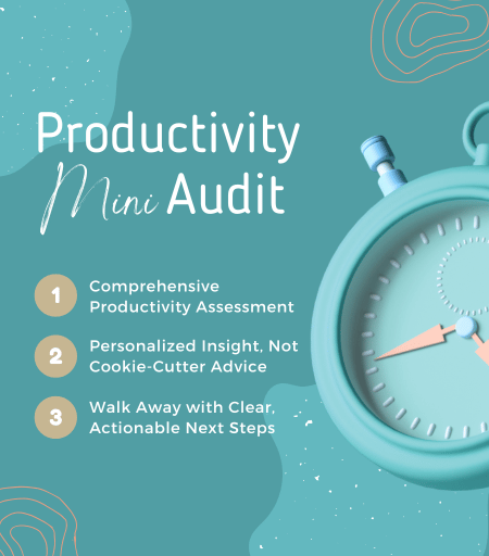 Mini Productivity Audit