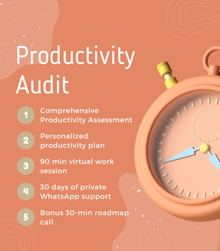 Productivity Audit